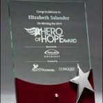 Plaket 29